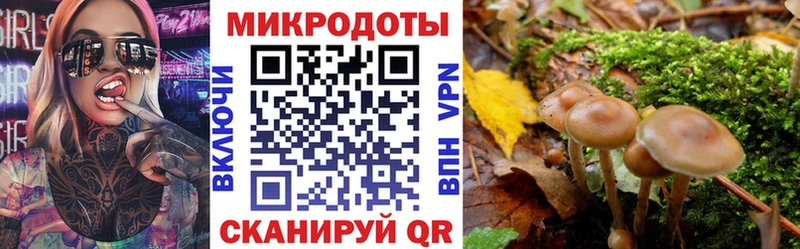 Псилоцибиновые грибы мухоморы  цены наркотик  Салаир 